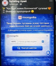 Е-Mongolia платформын нэр, зураг, таних тэмдгийг хууль бусаар ашиглан иргэдийг залилж байна